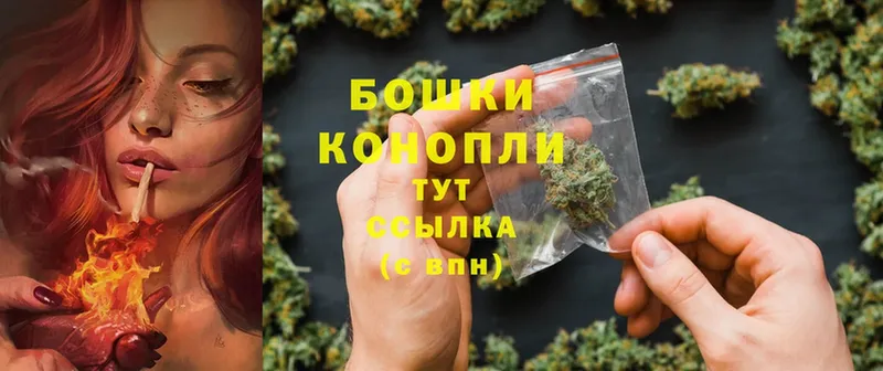 Конопля Ganja  Кушва 